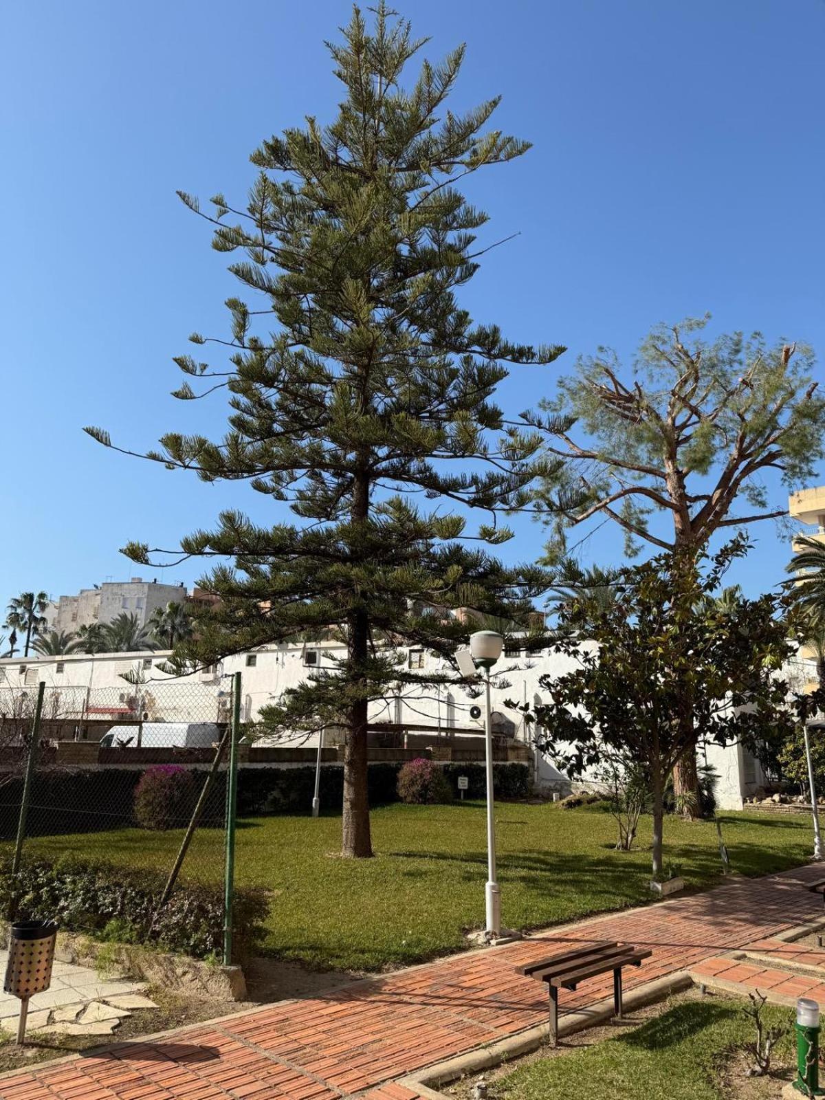 Apartamentos Hesperia Palmyra Salou Ngoại thất bức ảnh