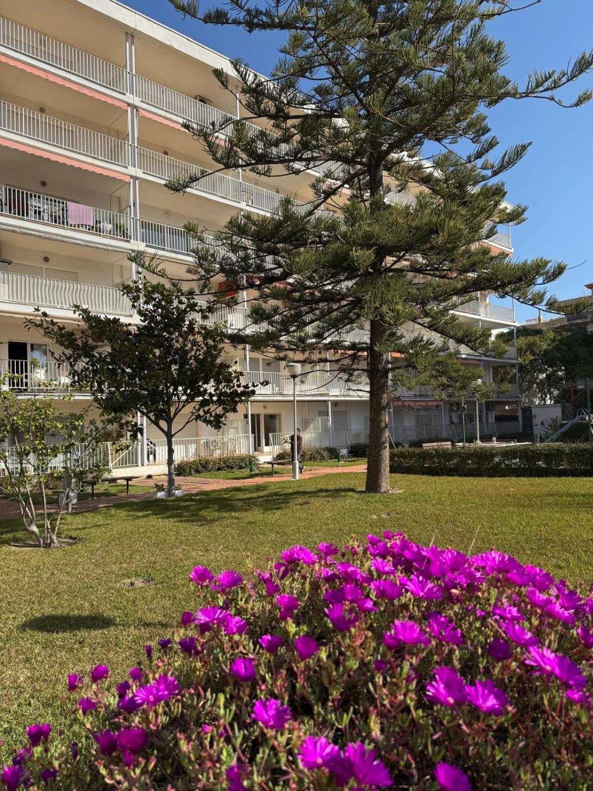 Apartamentos Hesperia Palmyra Salou Ngoại thất bức ảnh